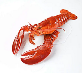 OpenClaw 别乱装！普通人真的没必要折腾？