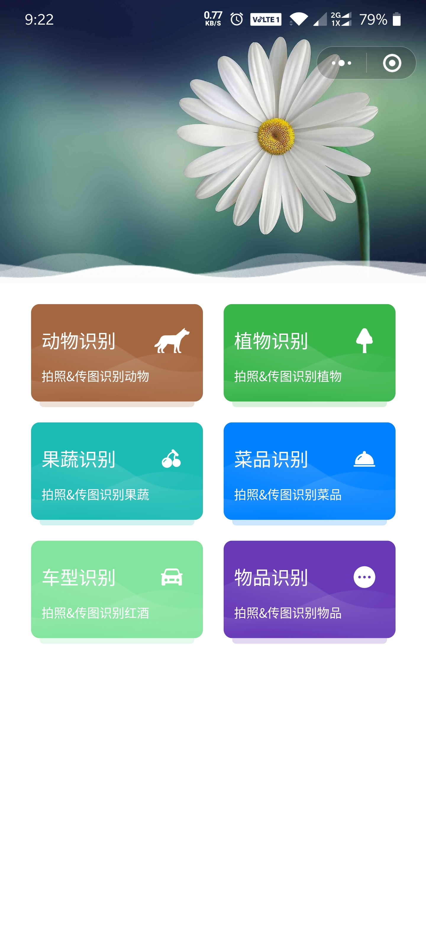 老马识图小程序