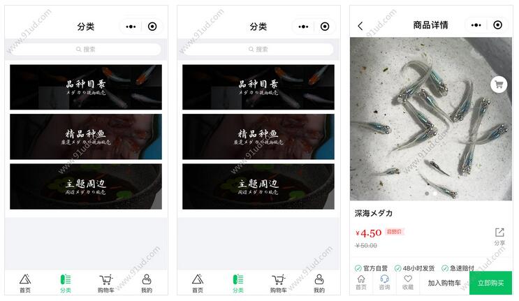 青鳉玩家小程序截图 青鳉玩家小程序截图 青鳉玩家小程序截图 