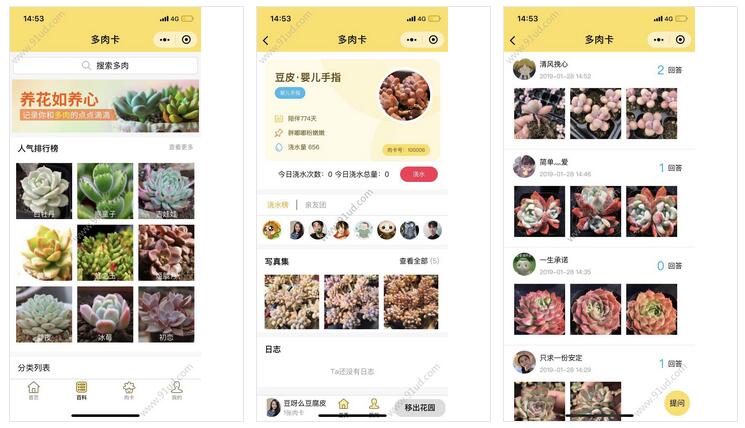      多肉卡RouCard小程序截图 多肉卡RouCard小程序截图 多肉卡RouCard小程序截图 